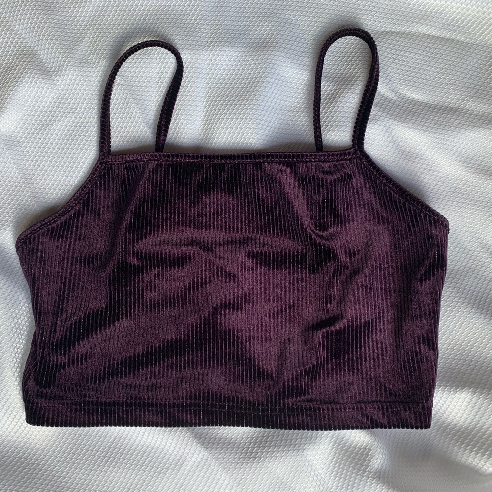 Purple Velvet Crop Top Forever 21 Small